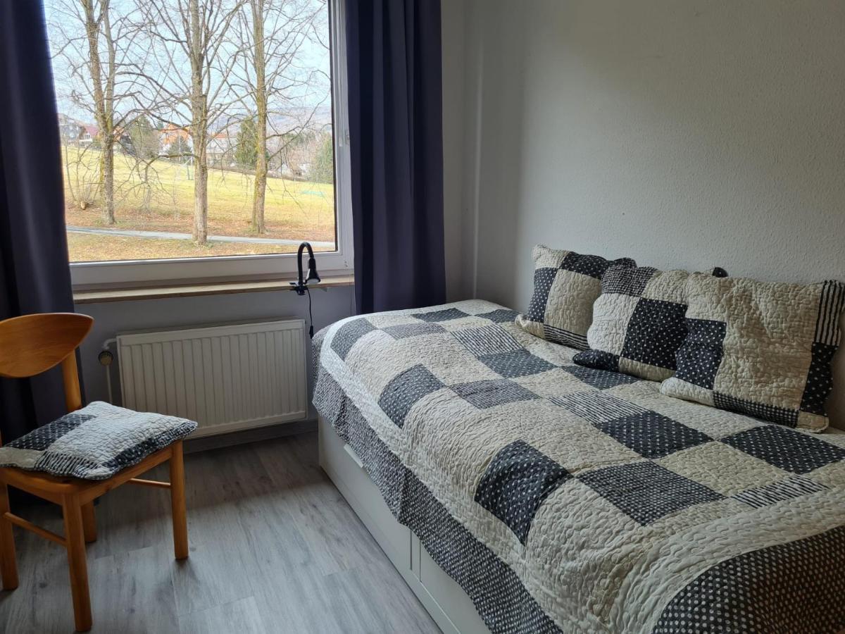 Grosse Wohnung - Kamin - Balkon - Boxspringbett - Skiwiese Braunlage Εξωτερικό φωτογραφία